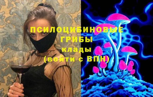 амф Алексеевка