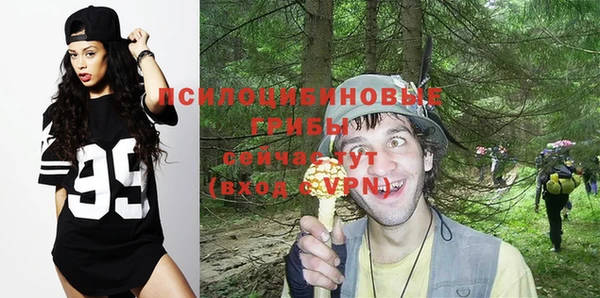 гидропоника Алзамай