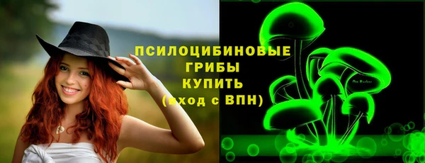 дживик Алексин