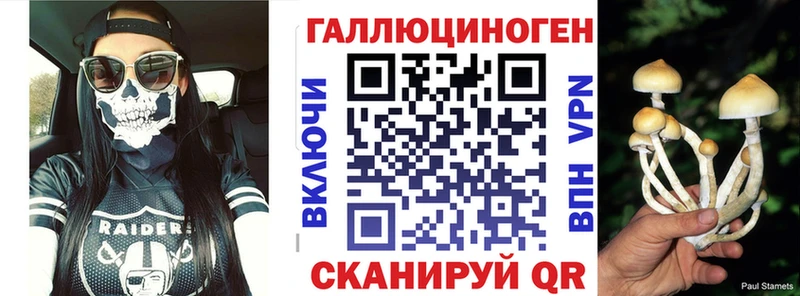 OMG tor  Заполярный  Галлюциногенные грибы Magic Shrooms 