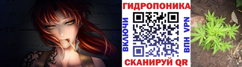 магазин Заполярный Каннабис White Widow